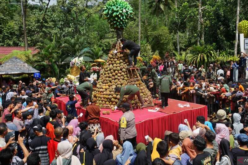 Meriah, Ribuan Wisatawan Ikut Nikmati Festival Durian di Trenggalek