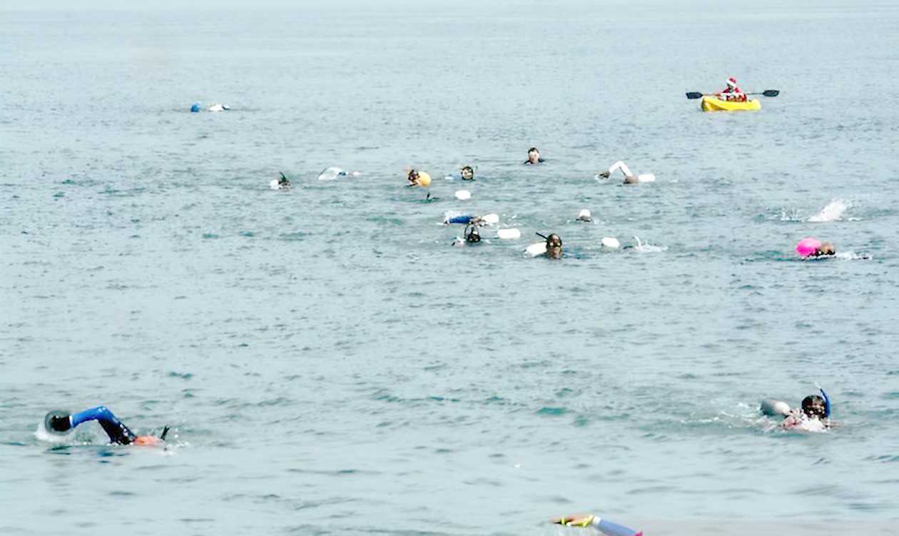 Meriahkan HUT RI, 80 Peserta Ikut Lomba Renang Lintas Teluk Palu