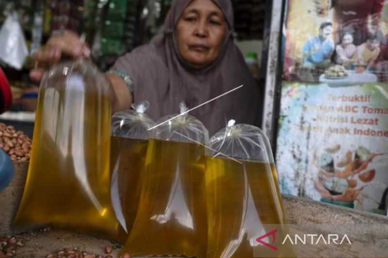 Minyak Goreng Bersubsidi Langka di Aceh Barat, Pedagang Tak Pernah Dapat Pasokan