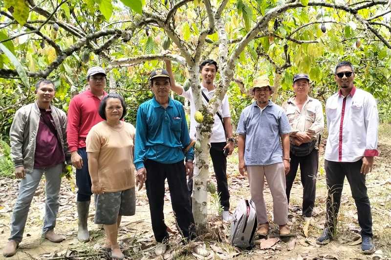 MMSGI - MHU Kembangkan Perkebunan Kakao Bersama Kelompok Tani Lalut Isau