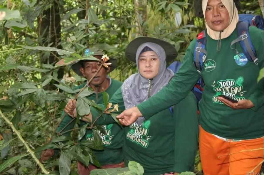 Mpu Uteun, Kelompok Perempuan Pelindung Hutan Aceh yang Melawan Patriarki