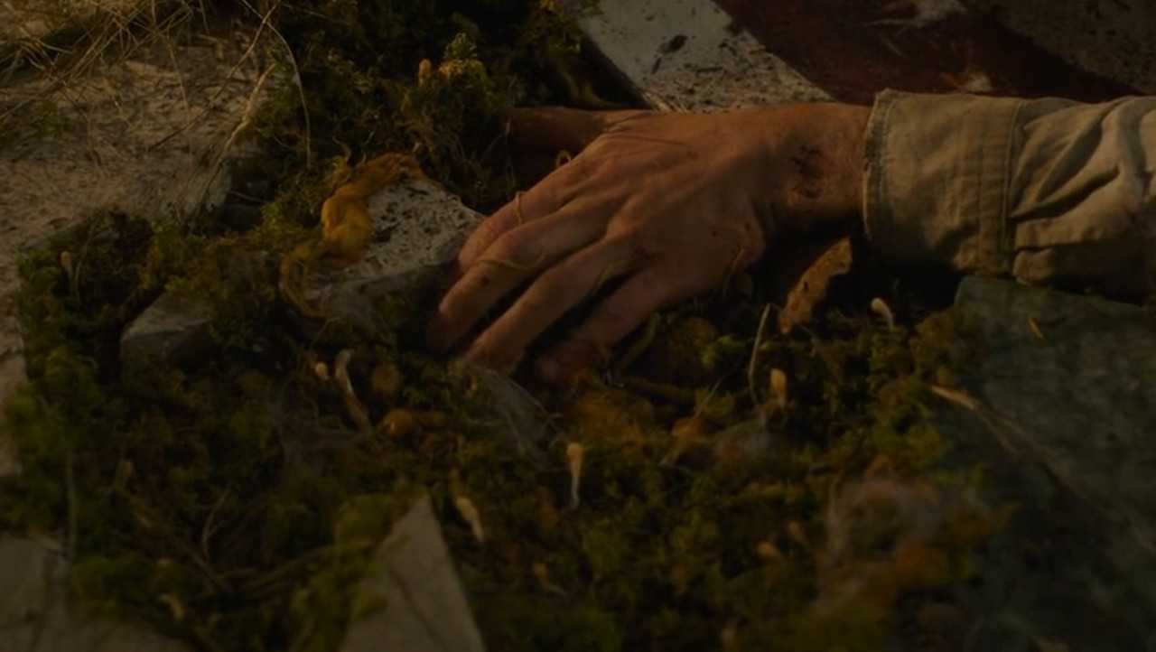Muncul di Serial The Last of Us, Mungkinkah Infeksi Jamur Ubah Manusia Jadi Zombie?