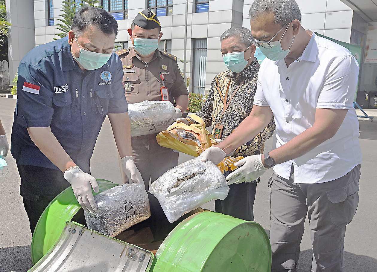 Musnahkan Ganja di Serang, Banten