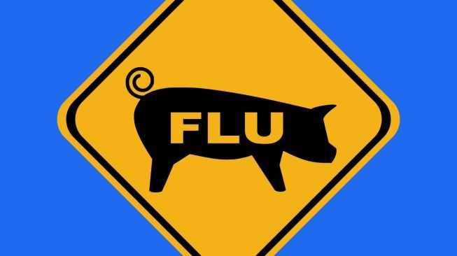 Namibia Ungkapkan 54 Kasus Baru Flu Babi H1N1