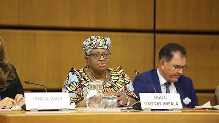 Negara-negara Afrika Desak WTO Selamatkan Sektor Kapas