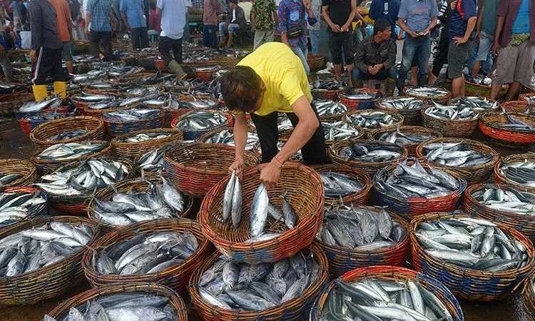 Nelayan Bersiap! Pemerintah Bakal Batasi Penangkapan Ikan di Laut Bulan Depan