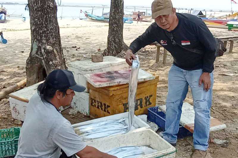 Nelayan Lebak Panen Tangkapan Ikan Layur