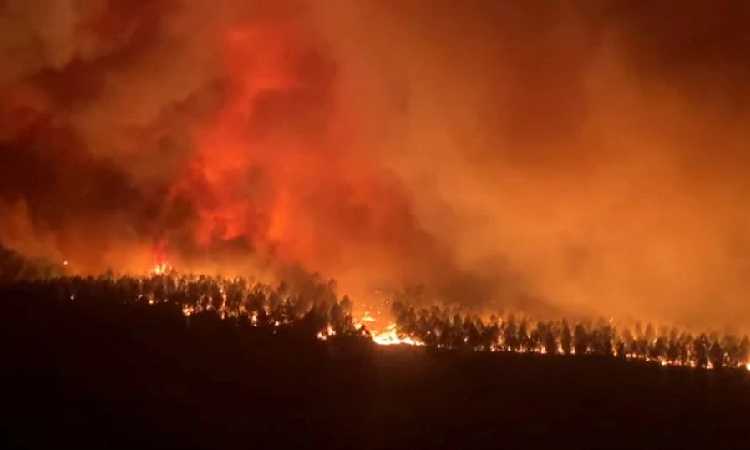 Ngeri! 'Cuaca Neraka' di Prancis Makin Menjadi-jadi, Picu Kebakaran Hutan Hingga Ribuan Warga Dievakuasi 