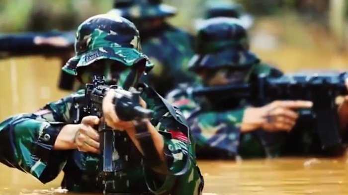Ngeri! KKB Membabi Buta di Papua, Pasukan Antiteror TNI Diterjunkan ke Wilayah Konflik Berdarah, Siap Merdeka?