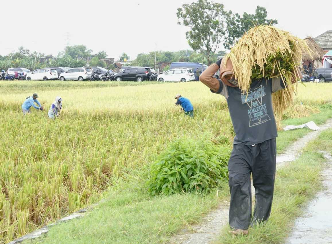 Nilai Tukar Petani dan Nilai Tukar Nelayan  Jatim Alami Kenaikan