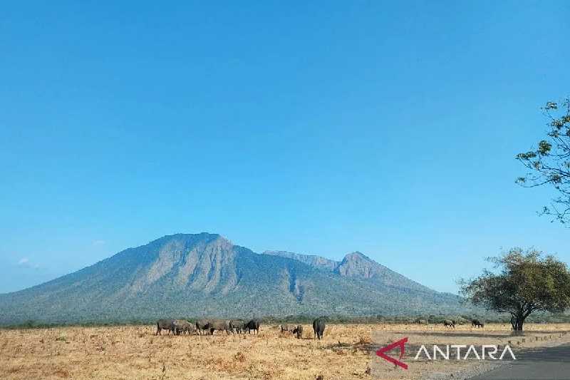 Objek Wisata Taman Nasional Baluran Situbondo Dibuka Lagi Pascakebakaran