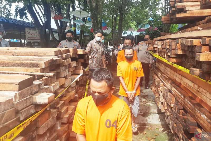 Oknum Anggota Polisi di Kalsel Jadi Tersangka, Miliki 245 Kayu Bulat Hasil Penebangan Liar