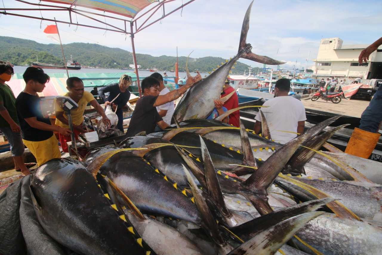 Optimalkan Target Tangkapan Ikan, Dukungan Jasa Logistik Sangat Diperlukan