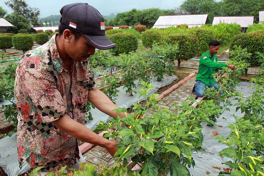 Pabrik Semen Gresik Rembang Kelola Edupark Pertanian Sebagai Wisata Edukasi