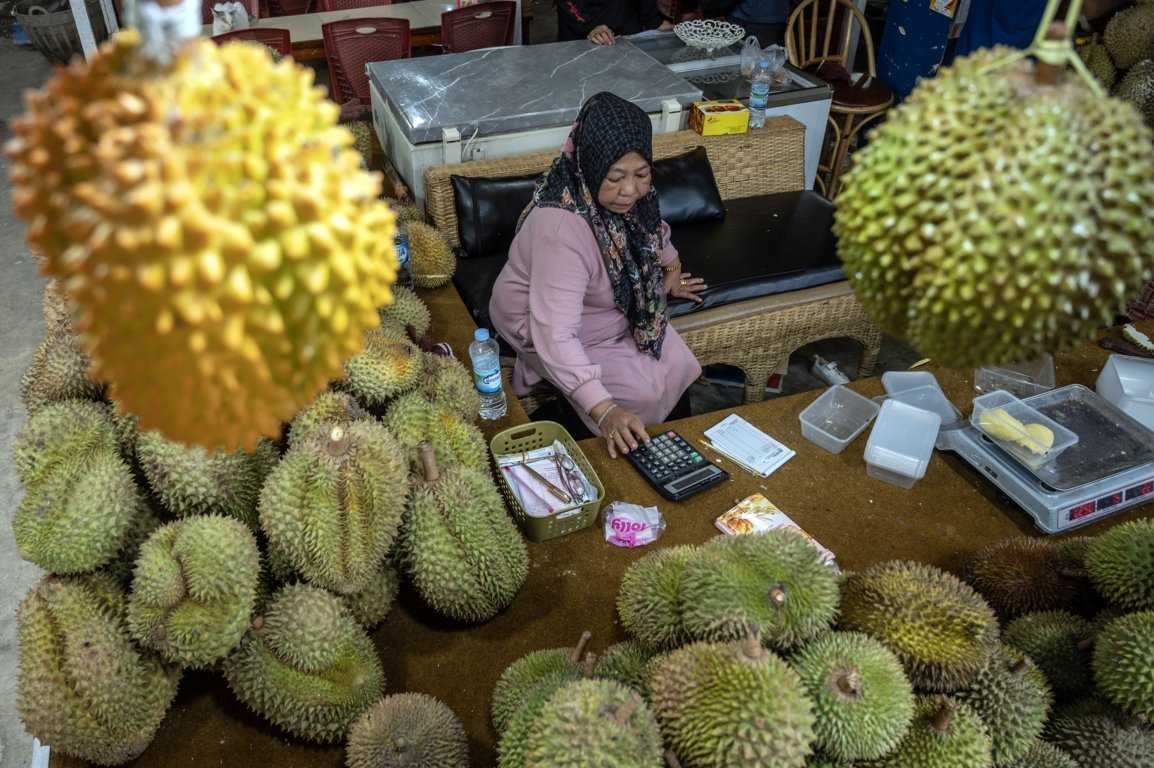 Pacu Ekspor Durian