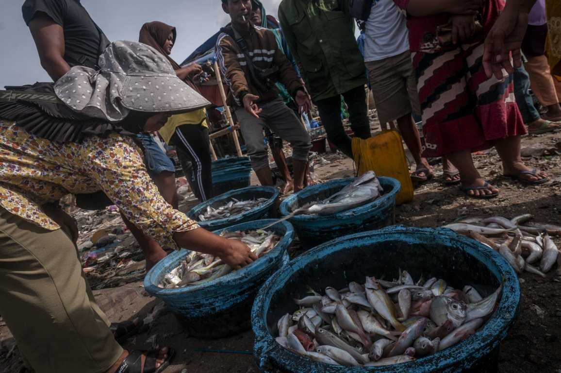 Pacu Konsusmsi Ikan