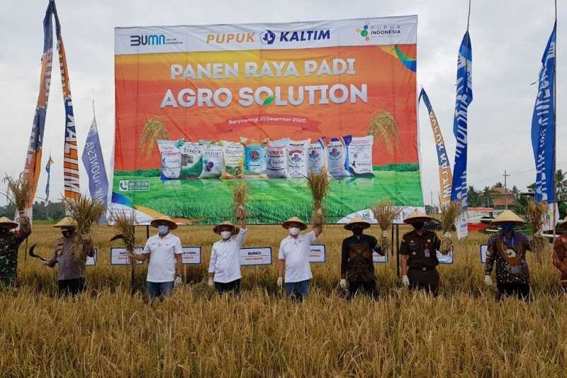 Pacu Produktivitas Pertanian, Pupuk Indonesia Luncurkan Agro Solution