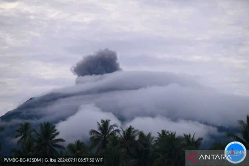 Pagi Ini, Gunung Ibu Erupsi dengan Amplitudo 10 Mm Selama 1 Menit