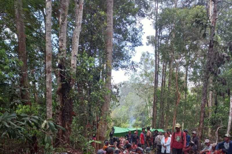 Pamit Pergi Cari Kayu, Kakek Hilang di Hutan Kalimantan Perbatasan RI-Malaysia