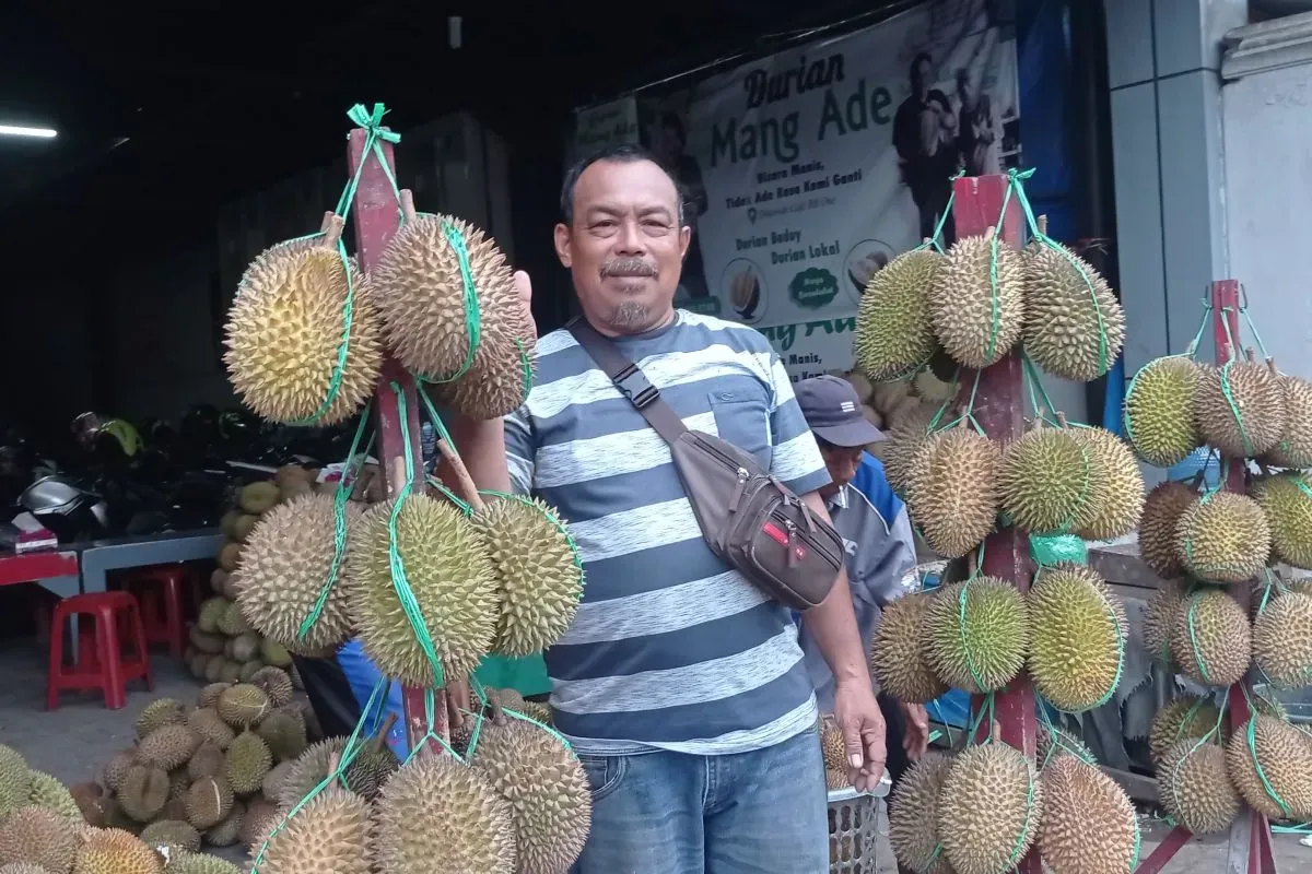 Panen Durian
