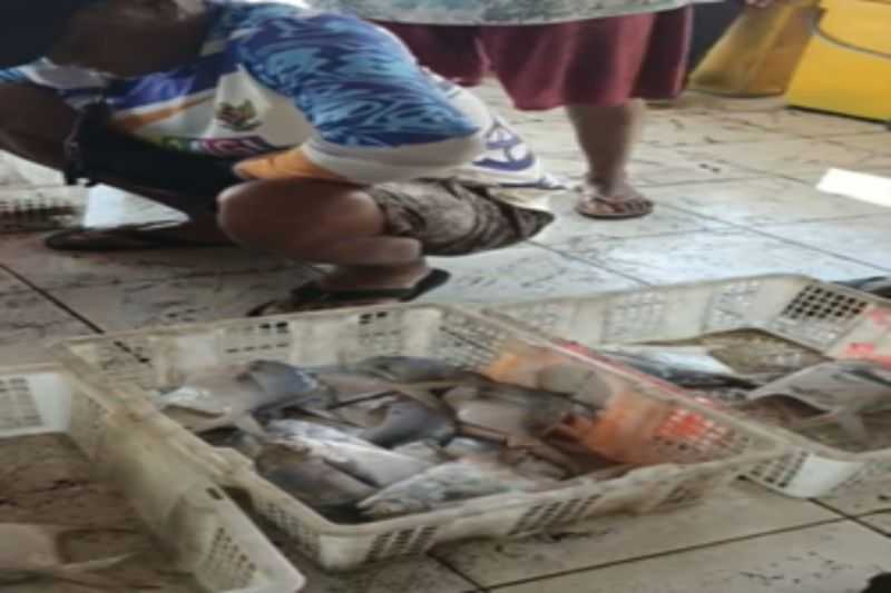 Panen Ikan Bawal, Nelayan Diingatkan untuk Kelola Hasil Penjualan dengan Baik