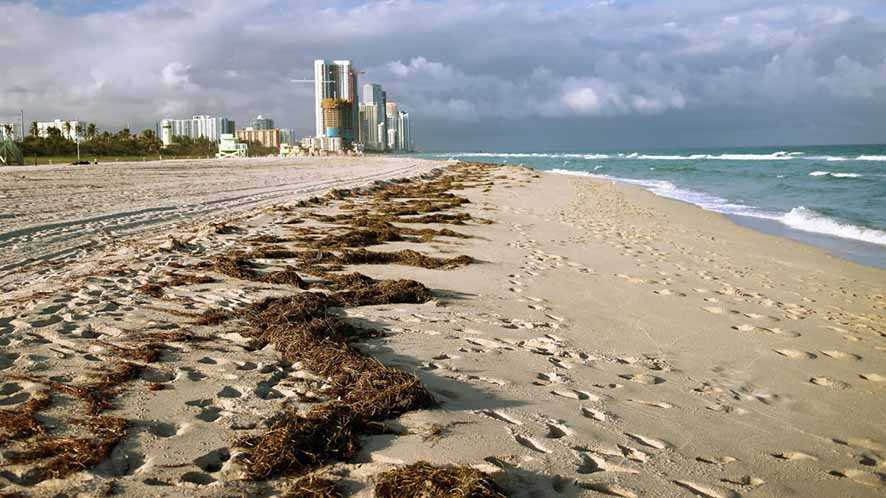 Pantai Berpasir Terancam Hilang Akibat Pemanasan Global