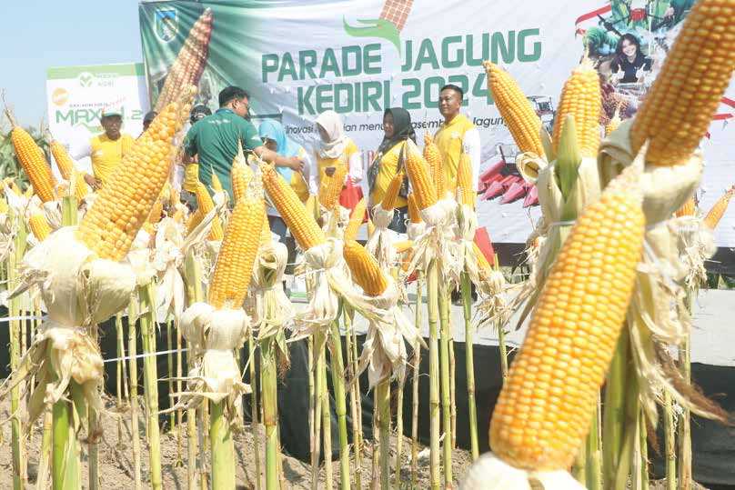 Parade Jagung