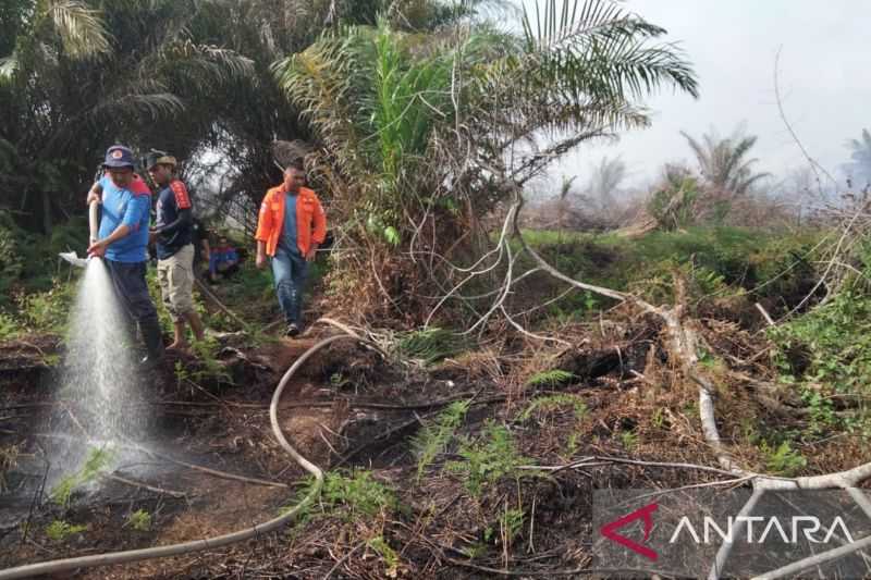 Parah! Kebakaran Lahan di Nagan Raya Aceh Meluas hingga 20 Hektare, Penyebabnya Belum Diketahui