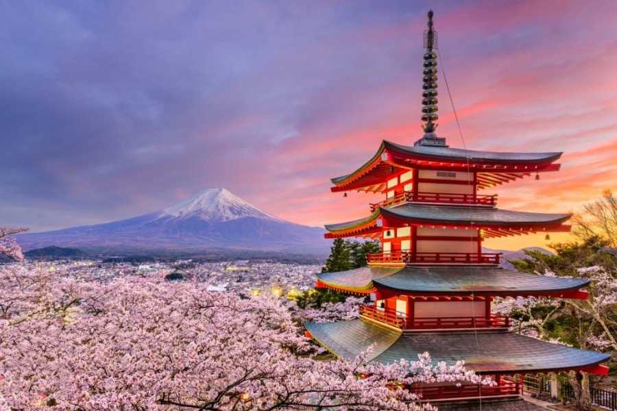 Pariwisata Jepang Bangkitkan Harapan Pemulihan Sektor Jasa