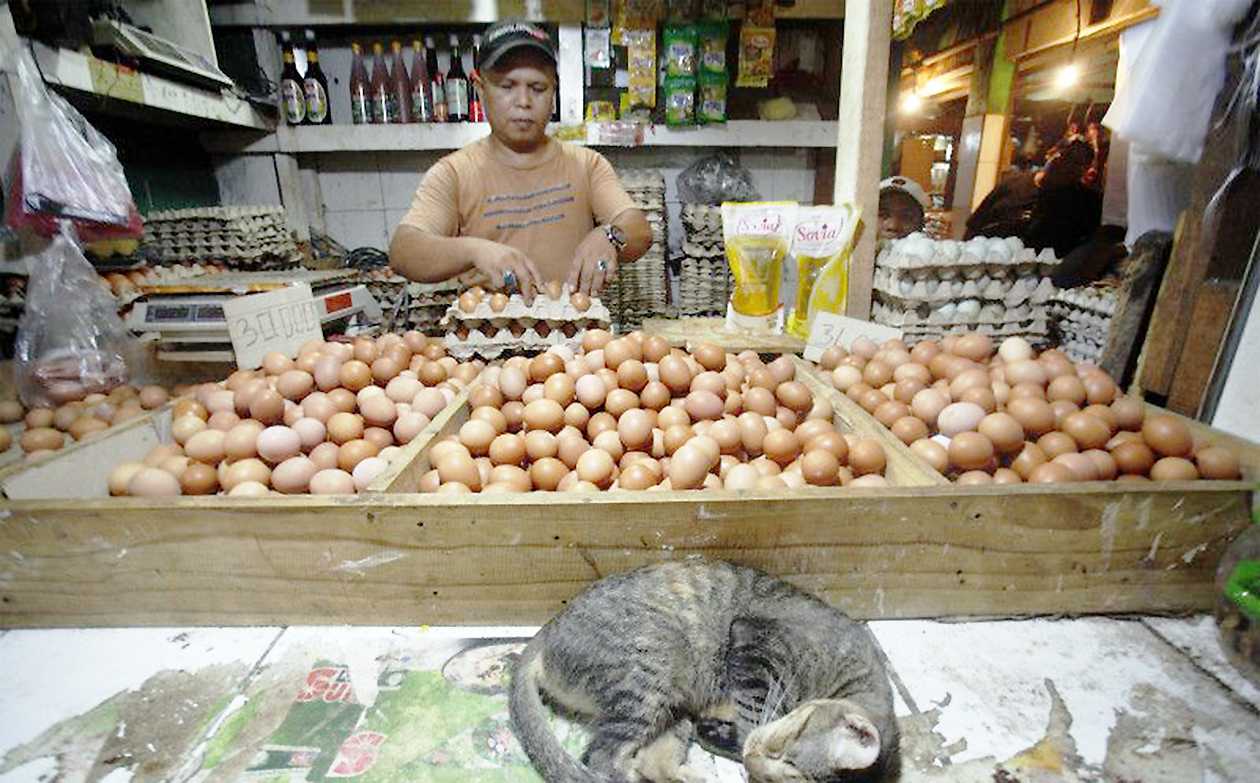 Pasokan Telur  dan Daging Banten Surplus