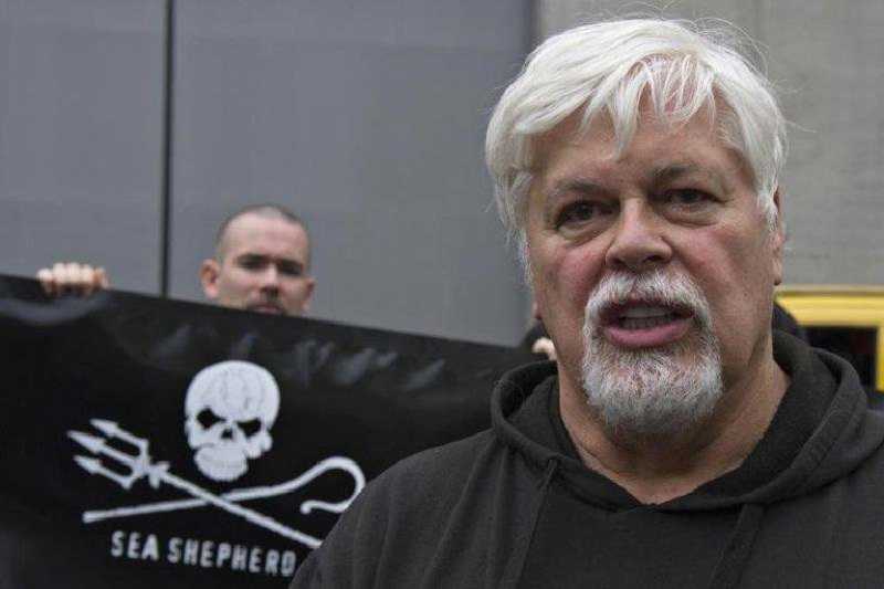 Paul Watson, Aktivis Anti-perburuan Paus Disidang di Greenland