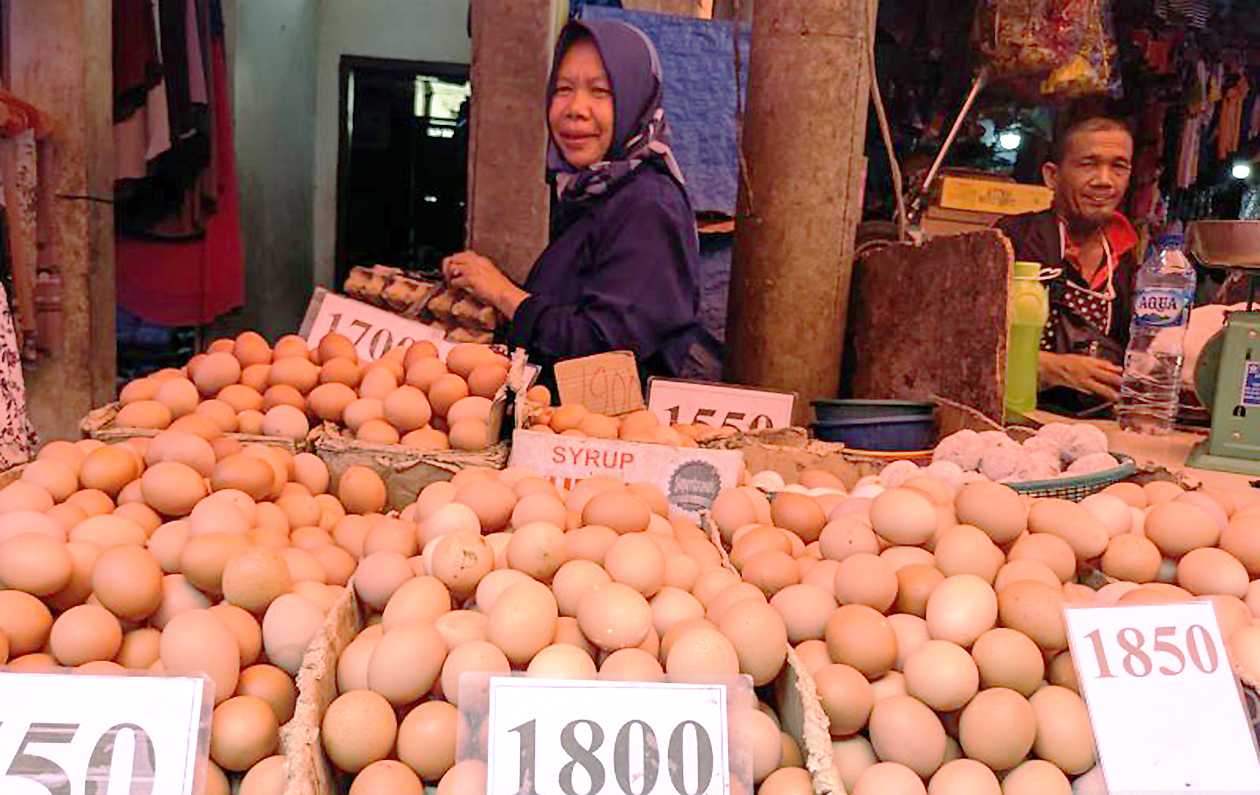Pedagang telur ayam di Medan menjerit akibat tingginya harga