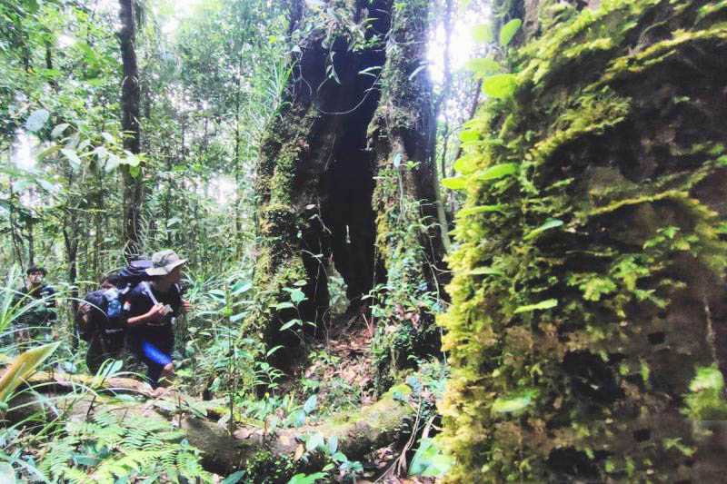Pegiat Pendaki Gunung: Gunung Rorokoan jadi Ekowisata Baru di Kalsel