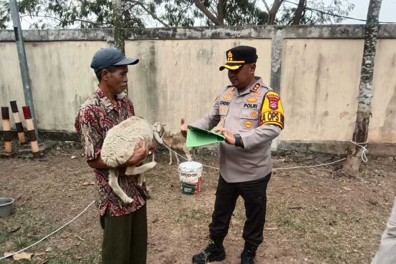 Pelaku Pencurian Spesialis Hewan Ternak Ditangkap