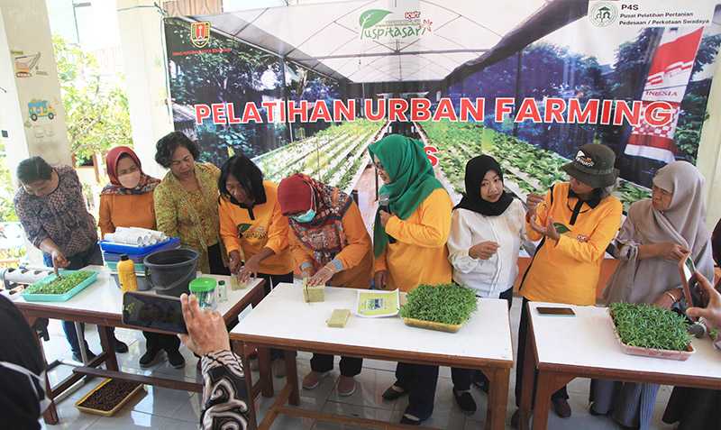 Pelatihan Pertanian Perkotaan di Semarang