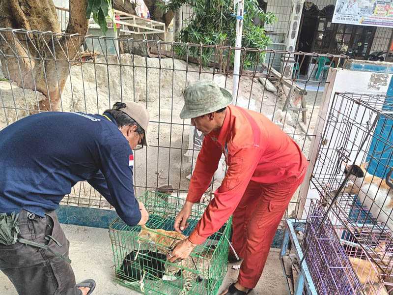 Pelayanan Vaksinasi Rabies di Kepulauan Seribu