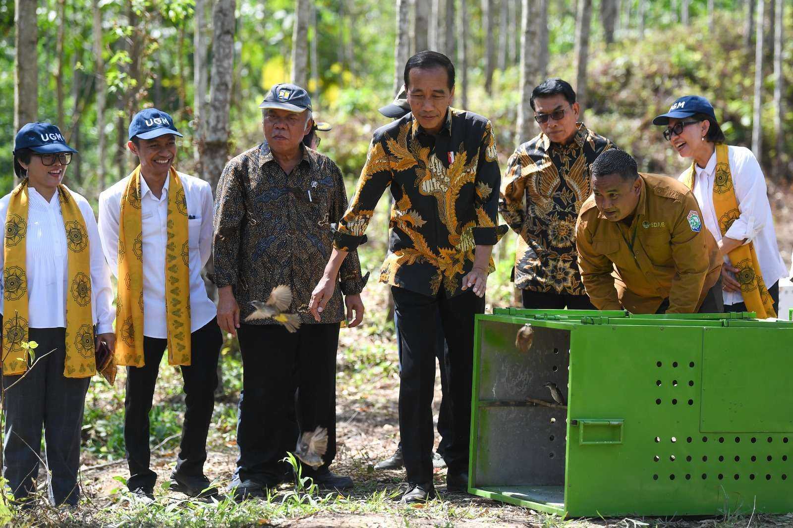 Pelepasan Satwa untuk Menjaga Ekosistem Alam IKN