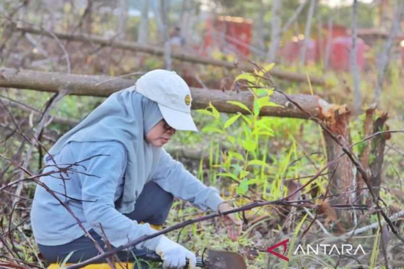 Pelestarian Lingkungan, Perempuan Kalsel Tanam Pohon Pada Peringatan Hari Kartini
