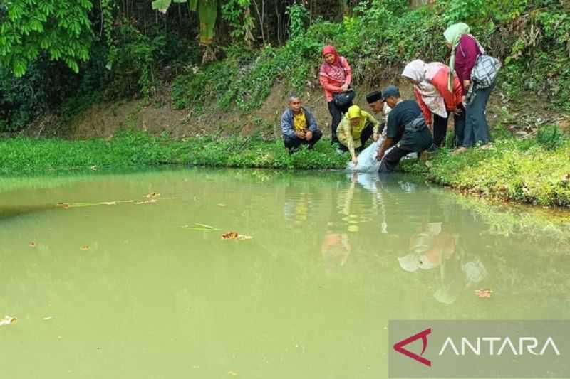 Pelestarian Satwa, Diskan Sukabumi Tebar Ribuan Benih Ikan Lokal
