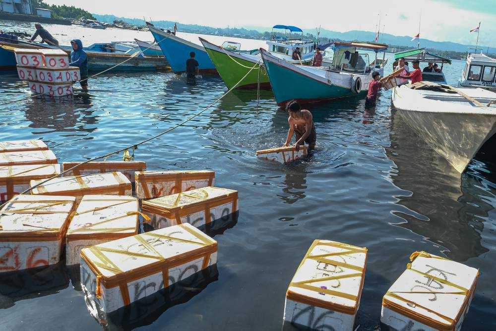 Pemanfaatan DAK bidang kelautan dan perikanan