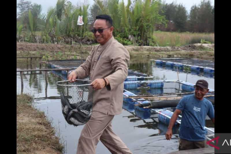 Pemanfaatan Dana Desa, Bupati Belitung Timur Apresiasi Warganya Membudidayakan Ikan Lele
