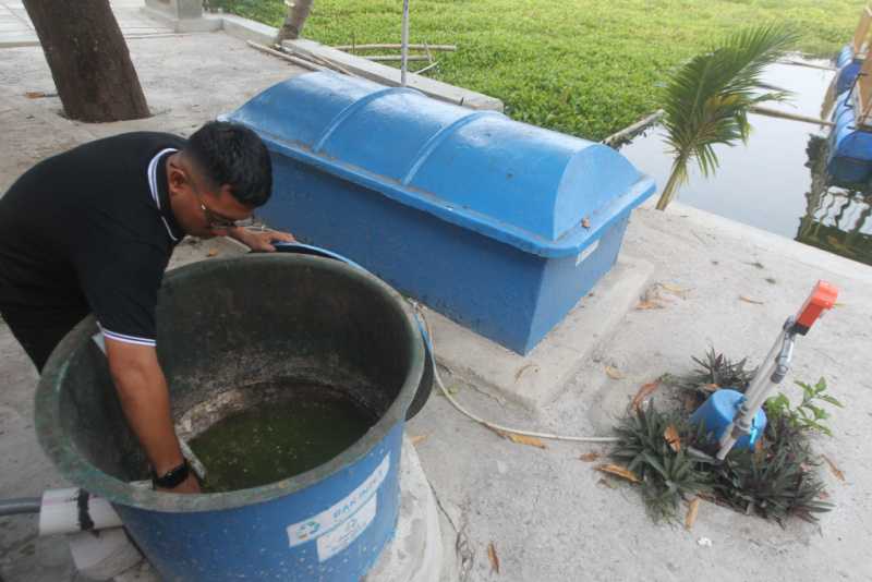 Pemanfaatan Eceng Gondok menjadi Biogas 4