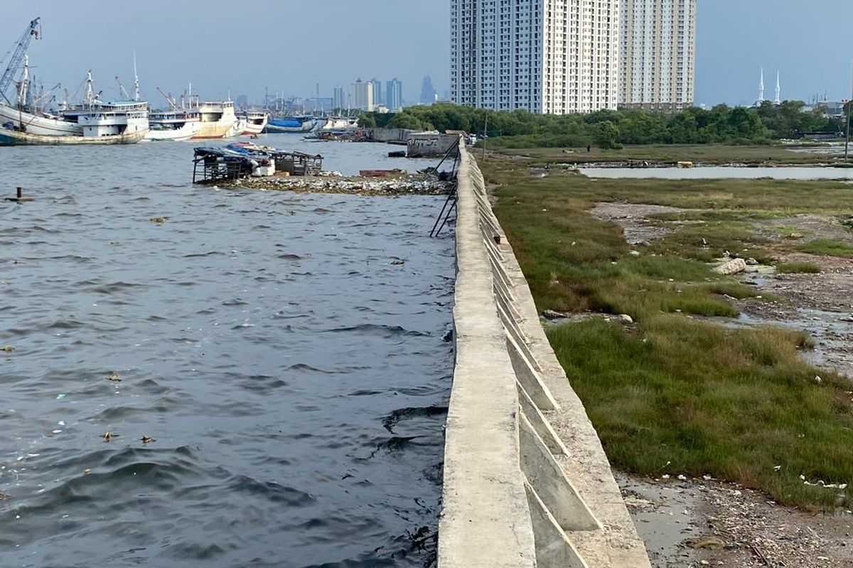 Pembangunan Giant Sea Wall Bisa Buat Jakarta Jadi Kubangan