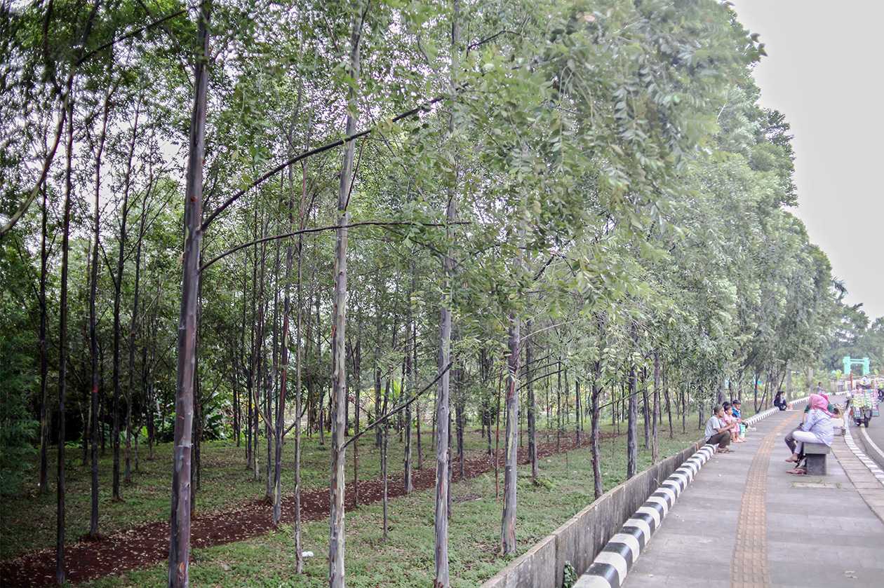 Pembangunan Hutan Kota Kabupaten Bogor