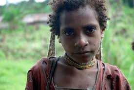 Pembangunan Papua Dipercepat