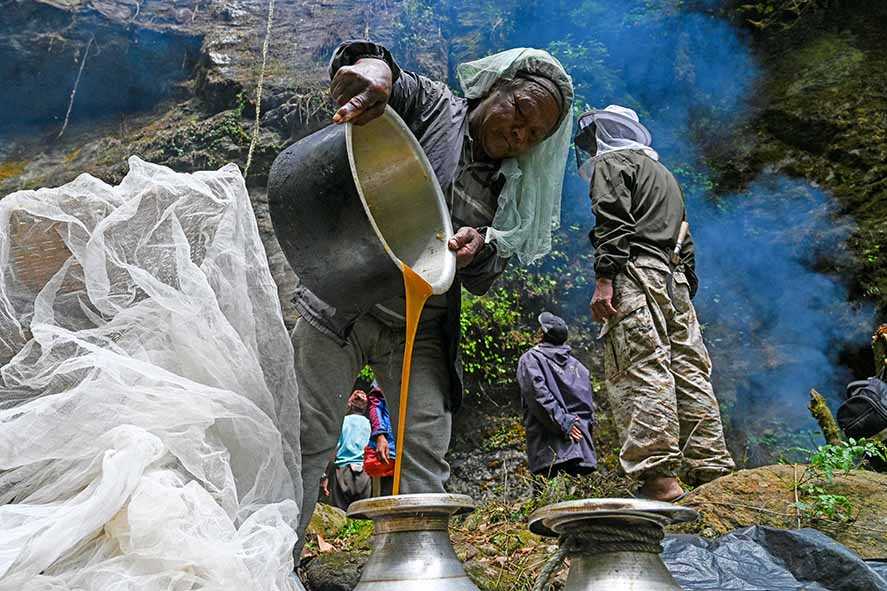 Pemburu Madu di Nepal Hadapi Masa Depan yang Suram karena Perubahan Iklim