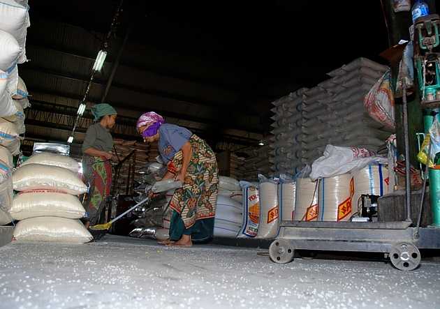 Pemerintah Antisipasi Penurunan Produksi Gabah akibat El Nino