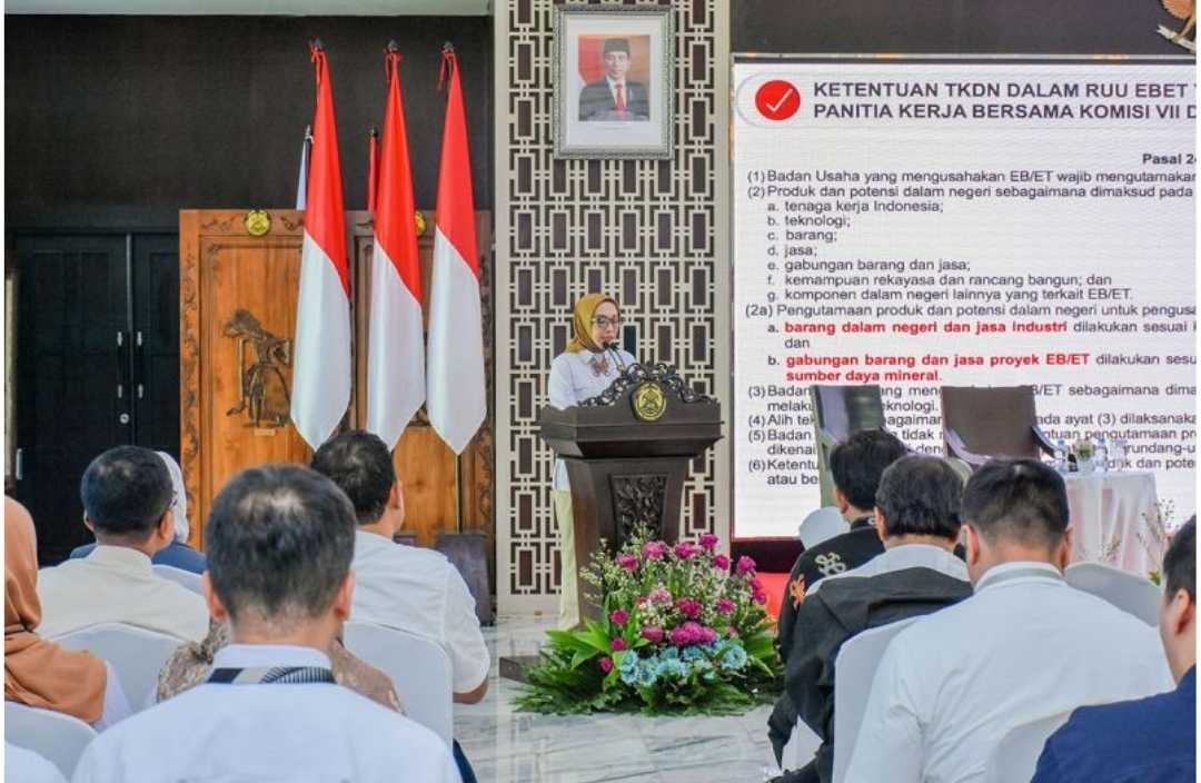 Pemerintah Relaksasi Aturan Komponen Lokal PLTS