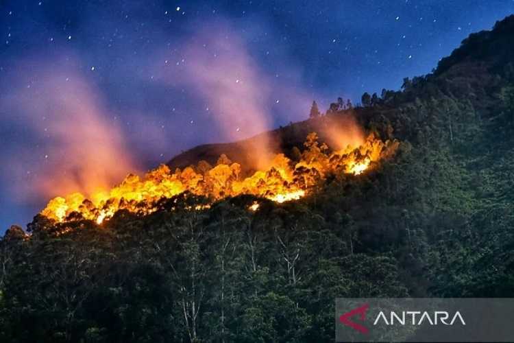 Pemerintah Sao Paulo Bentuk Kabinet Krisis untuk Atasi Kebakaran Hutan