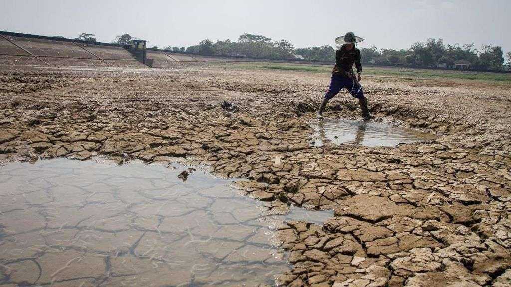 Pemerintah Siapkan Langkah Mitigasi Dampak El Nino